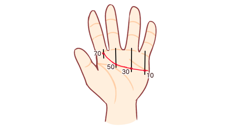 感情線の流年法の見方！病気になる時期が分かる？