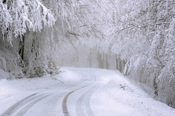 雪のなかでどんな行動をした夢だった？夢の意味は？