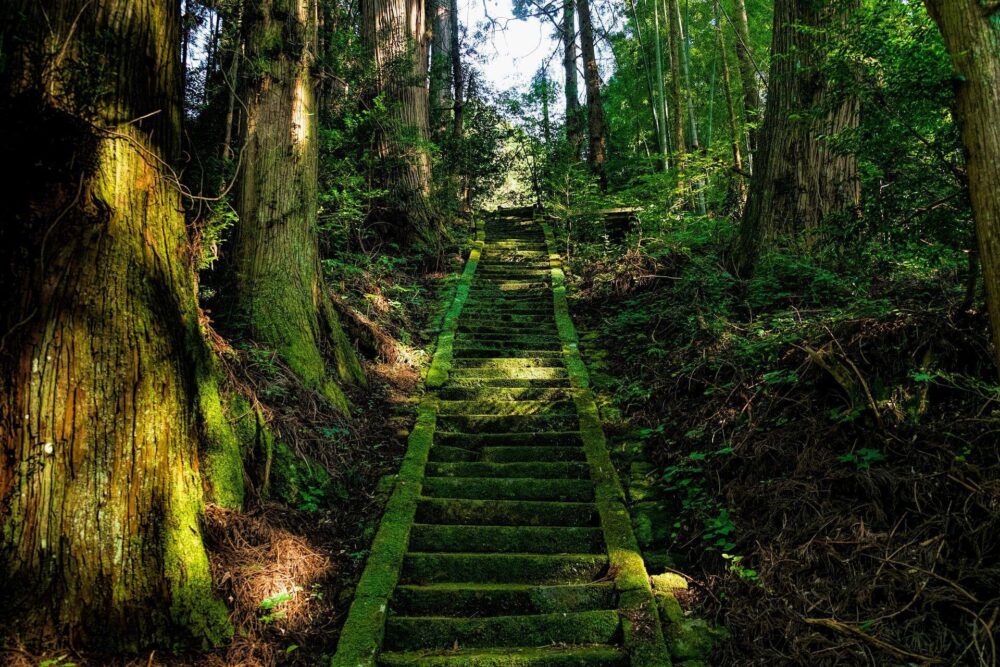 【九州・沖縄地方】復縁が叶った強力な神社5選