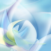 美凪（みなぎ）先生