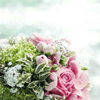 岩代（いわしろ）先生