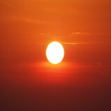 明日羽（あすは）先生