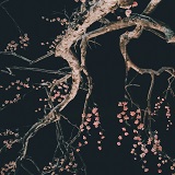 航（わたる）先生