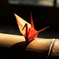 中園千代（なかぞのちよ）先生