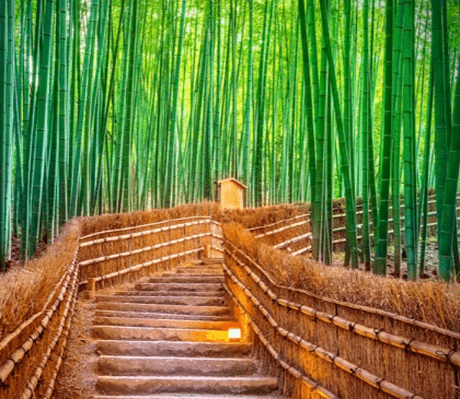 仙貴 （せんき）先生