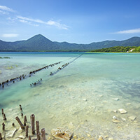 常盤（ときわ）先生