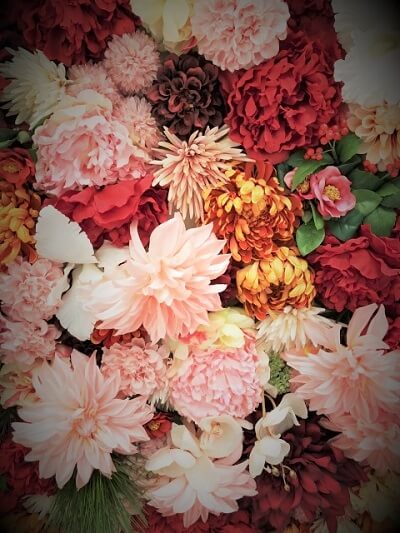 星樹（せいじゅ）先生