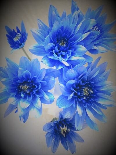 来光（らいこう）先生