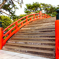 氷白スエ（こおしら）先生