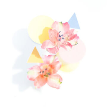 紗羅（さら）先生