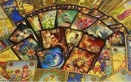 スイートローズ先生