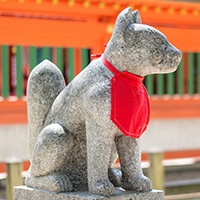 守羽（もりは）先生