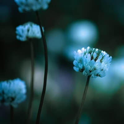 小太郎（こたろう）先生