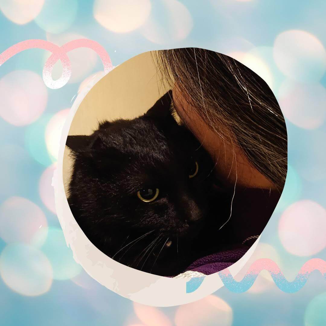 愛知明子（あいち あきこ）先生