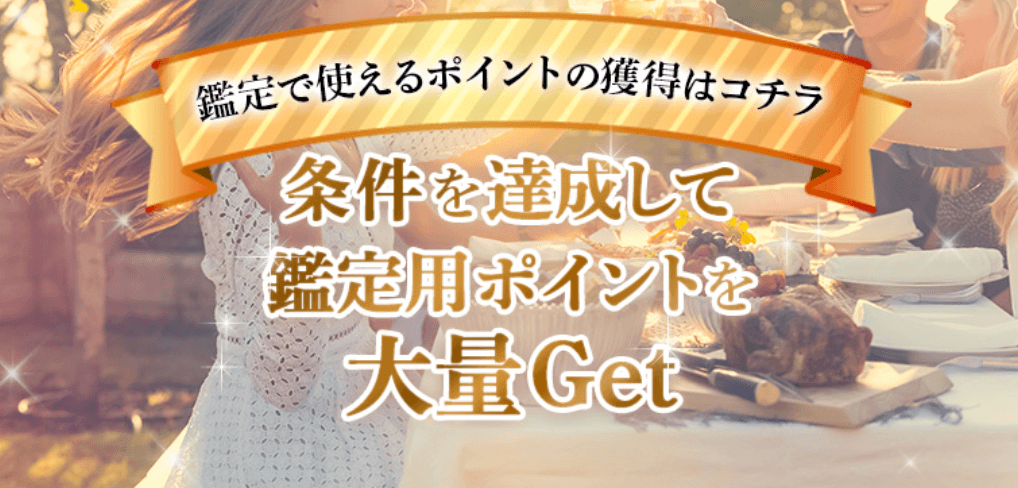 電話占いカミールVoIP