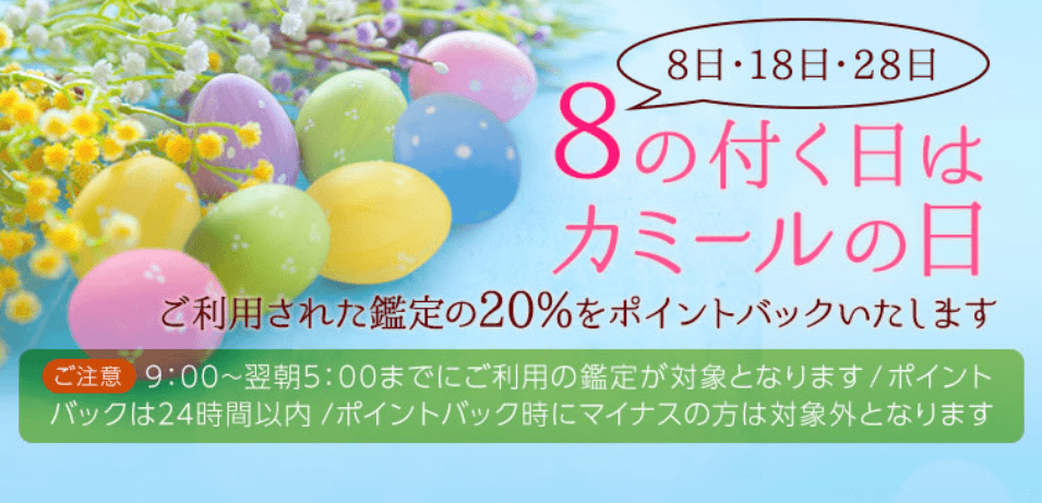 電話占いカミールVoIP