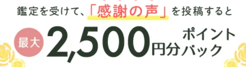 電話占いシェリール