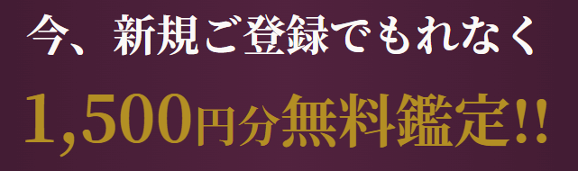 電話占いティユール