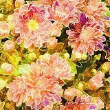 叶多（かなた）先生