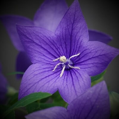 国立 覚源（くにたち かくげん）先生