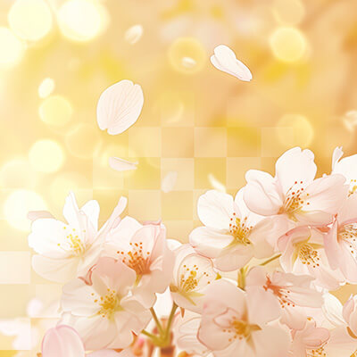 奏妃殿 和桜（そうひでん かずさ）先生