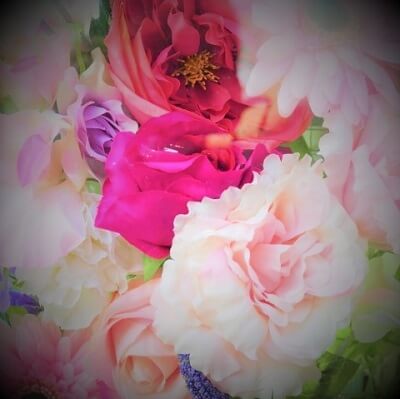 星花 舞蝶（ほしか まいこ）先生