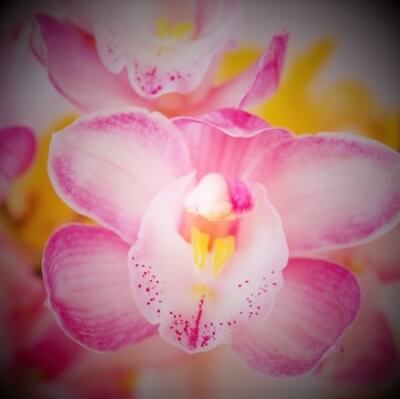 月影誠（つきかげまこと）先生