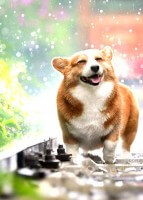 樹（いつき）先生