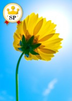 輝伊（きい）先生