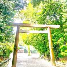 璃杏（りあん）先生