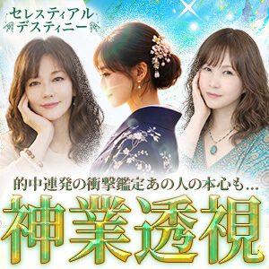 セレスティアルデスティニー